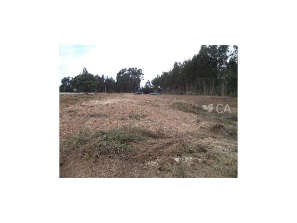 Terreno - Grande imagem: 5/5