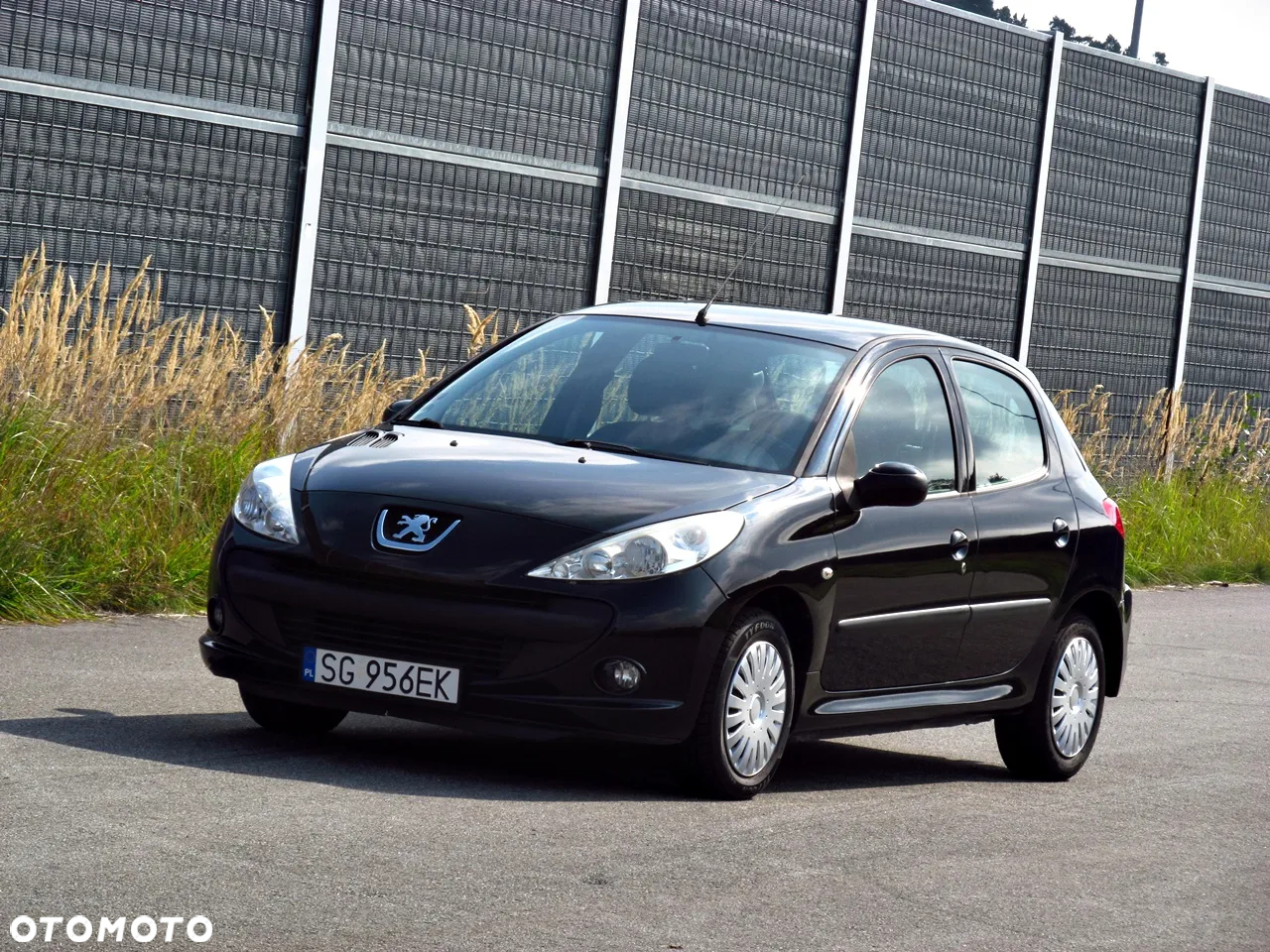 Peugeot 206 plus - 13
