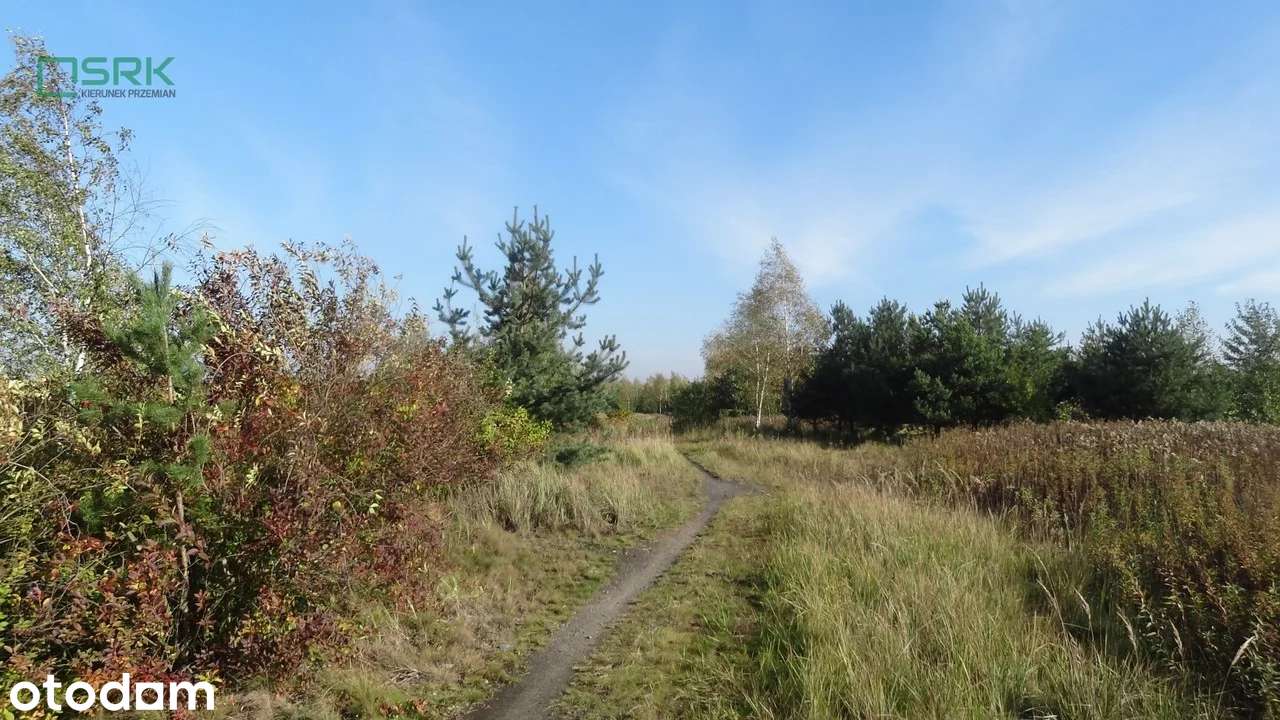 Działka, 208 785 m², Ruda Śląska