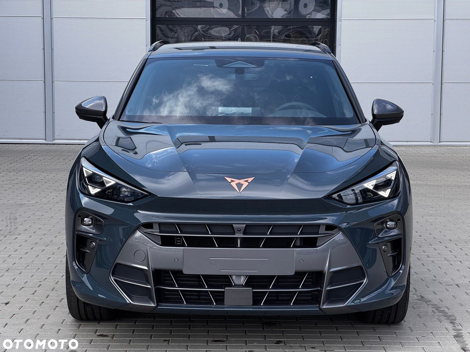 Cupra Terramar 2.0 TSI 4Drive DSG - 4