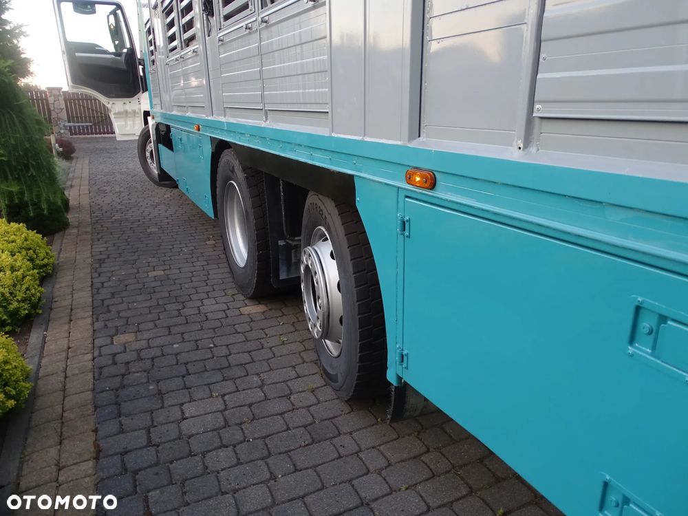 MAN TGX 26.440 DO ŻYWCA / ZWIERZĄT / BYDŁA / TRZODY / SPROWADZONY / 3 POZIOMY / - 6