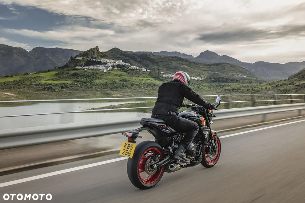 Suzuki GSX - 10