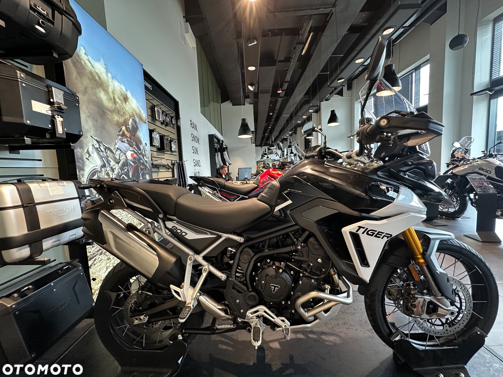 Triumph Tiger - 4