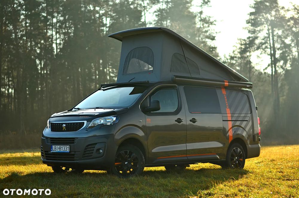 Peugeot Dangel Expert 4x4 - 1