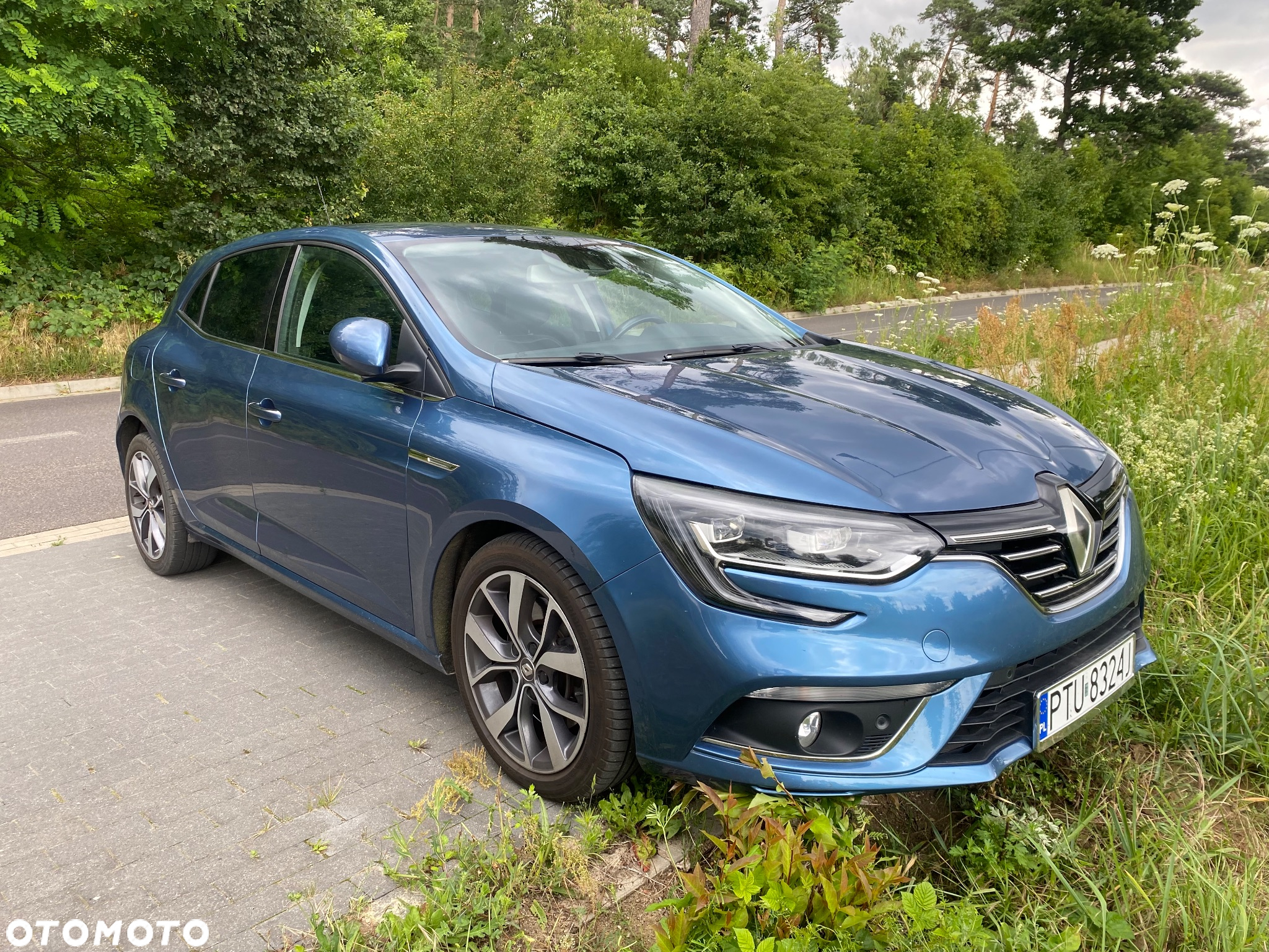Renault Megane ENERGY TCe 165 EDC BOSE EDITION - 2