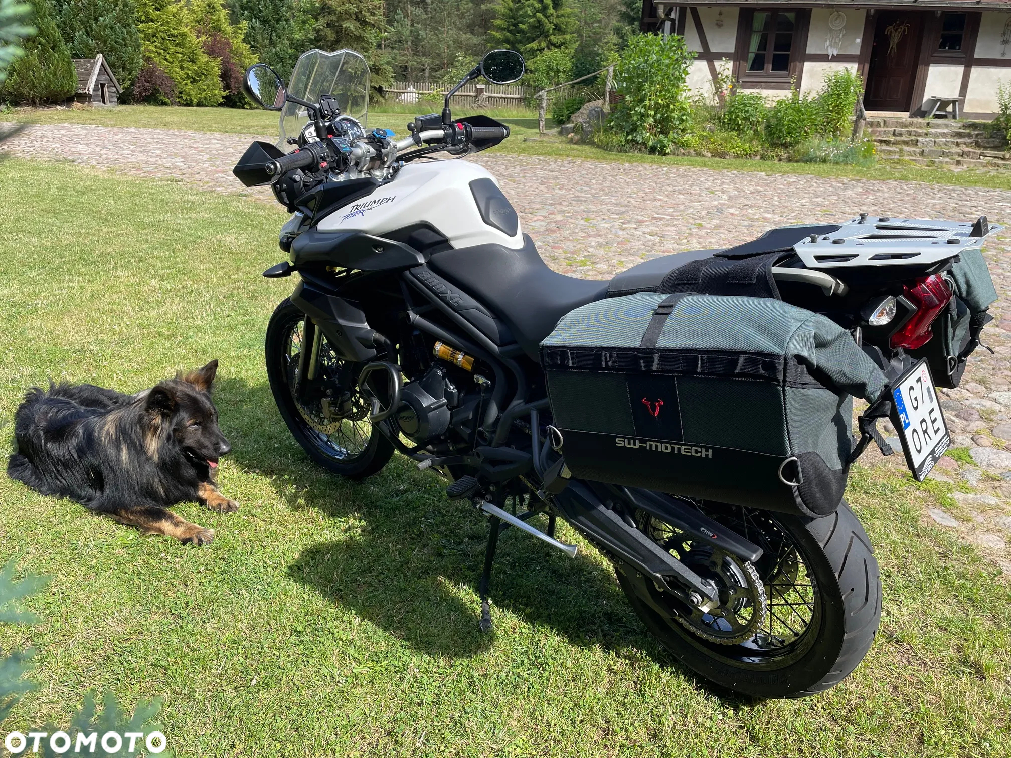 Triumph Tiger - 8