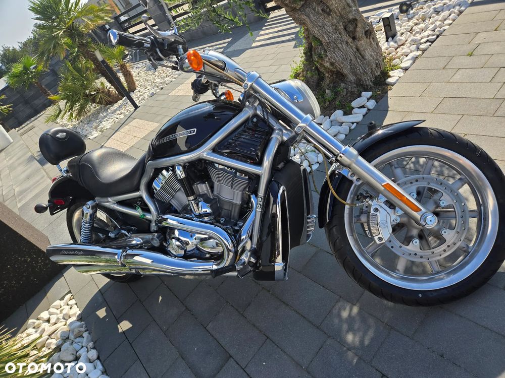 Harley-Davidson V-Rod Night Rod - 4