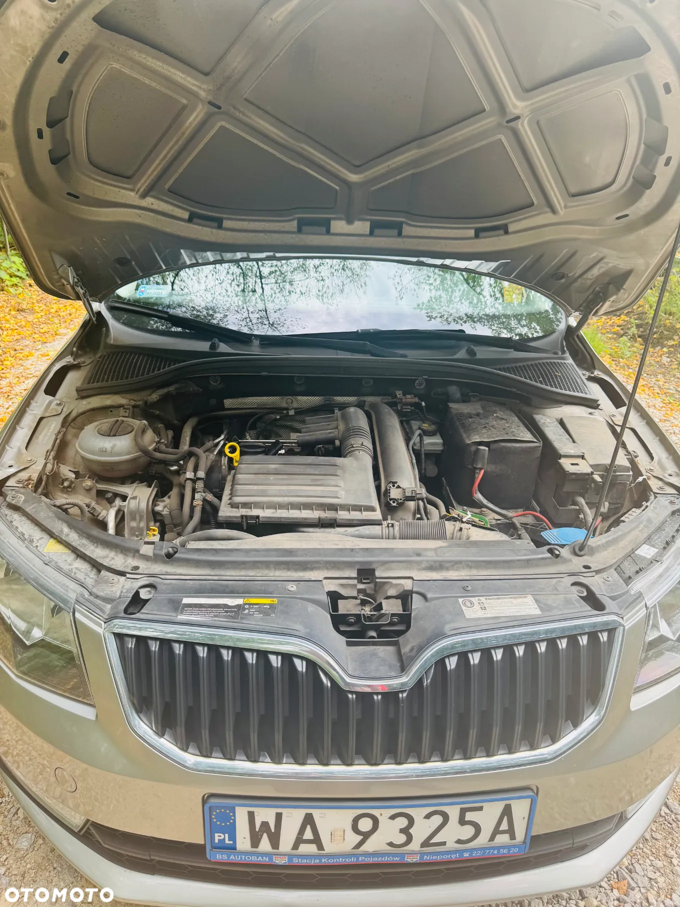 Skoda Octavia 1.2 TSI Active - 7