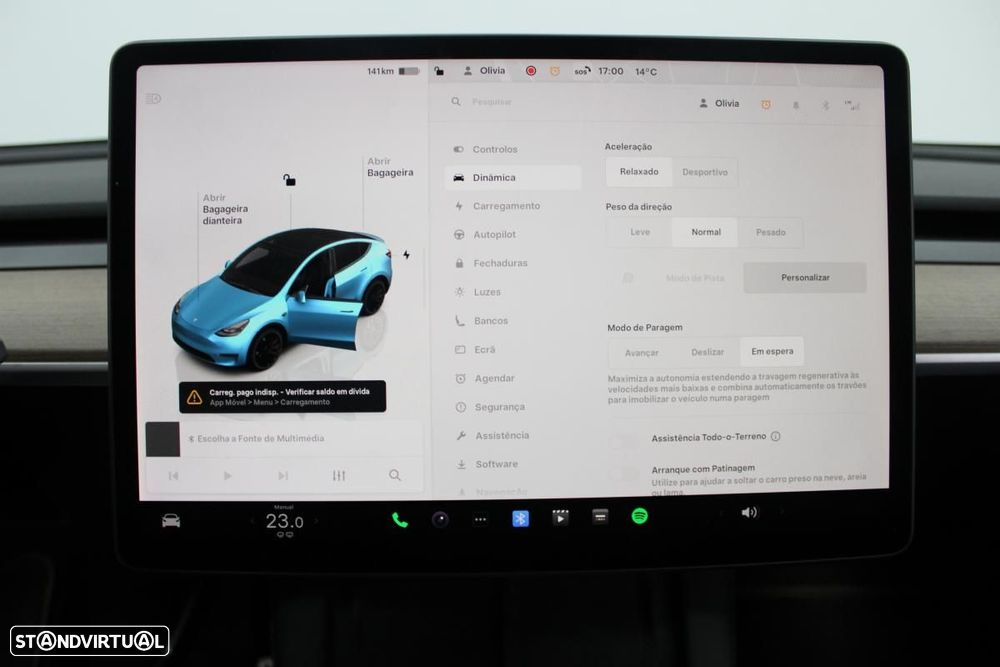 Tesla Model Y Performance AWD - 17