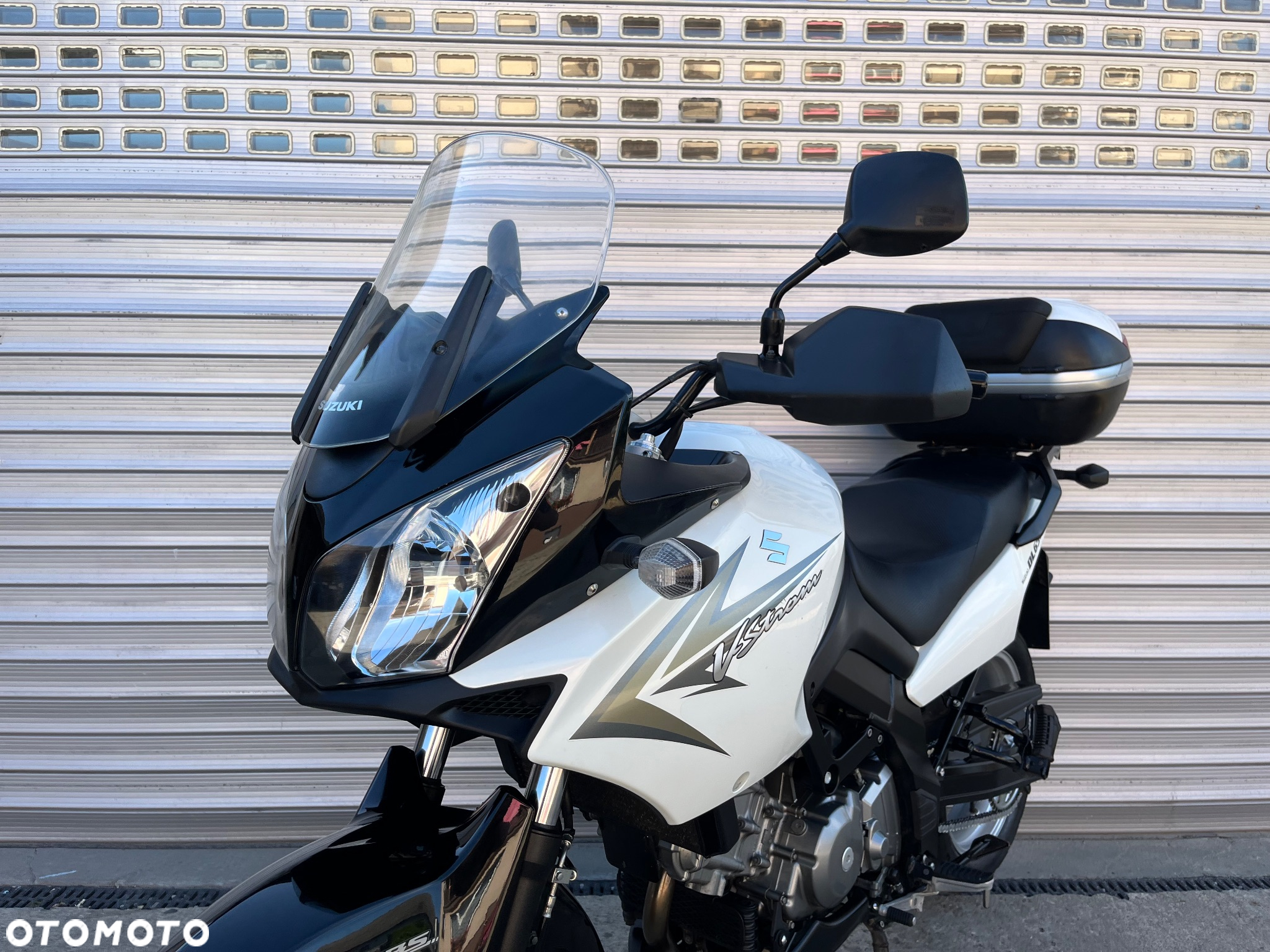 Suzuki DL - 31