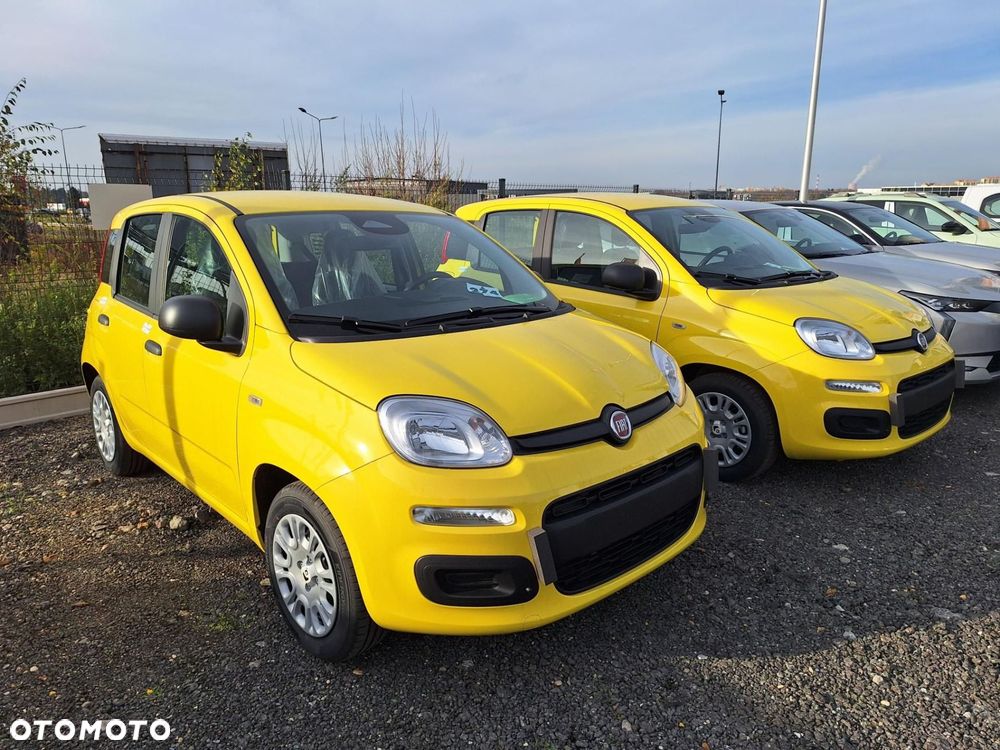 Fiat Panda - 1