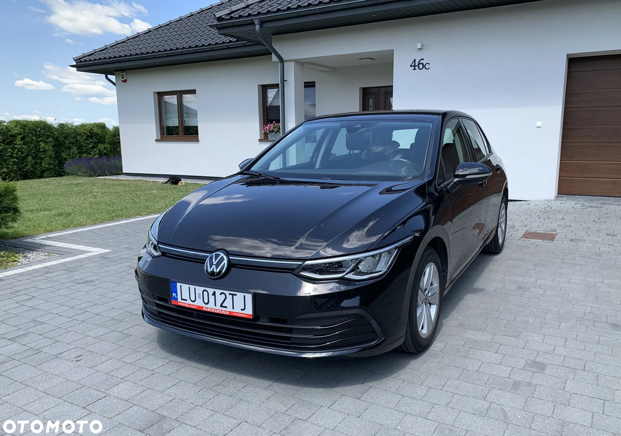 Volkswagen Golf VIII 1.0 TSI - 2
