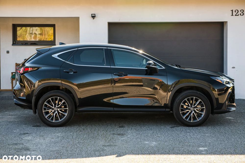 Lexus NX - 11