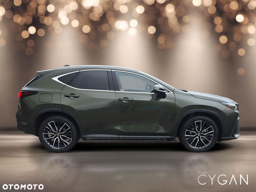 Lexus NX - 8