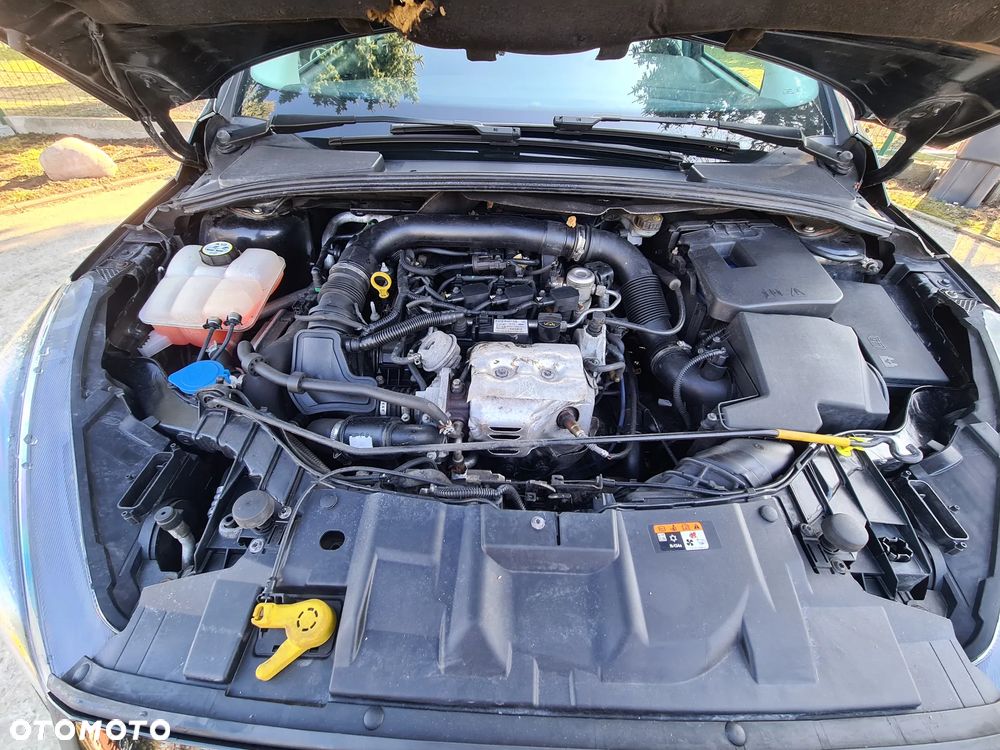 Ford Focus - 17
