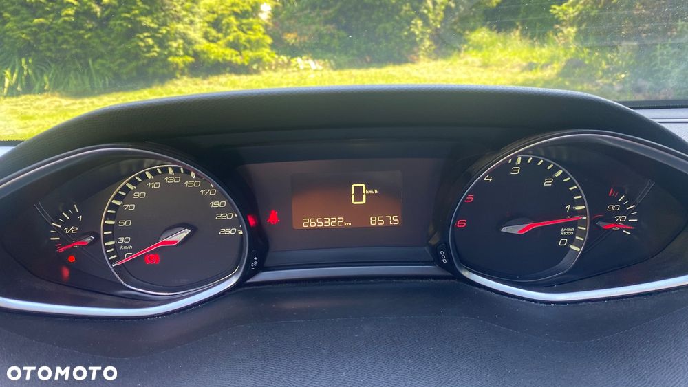 Peugeot 308 1.6 BlueHDi Active S&S - 19