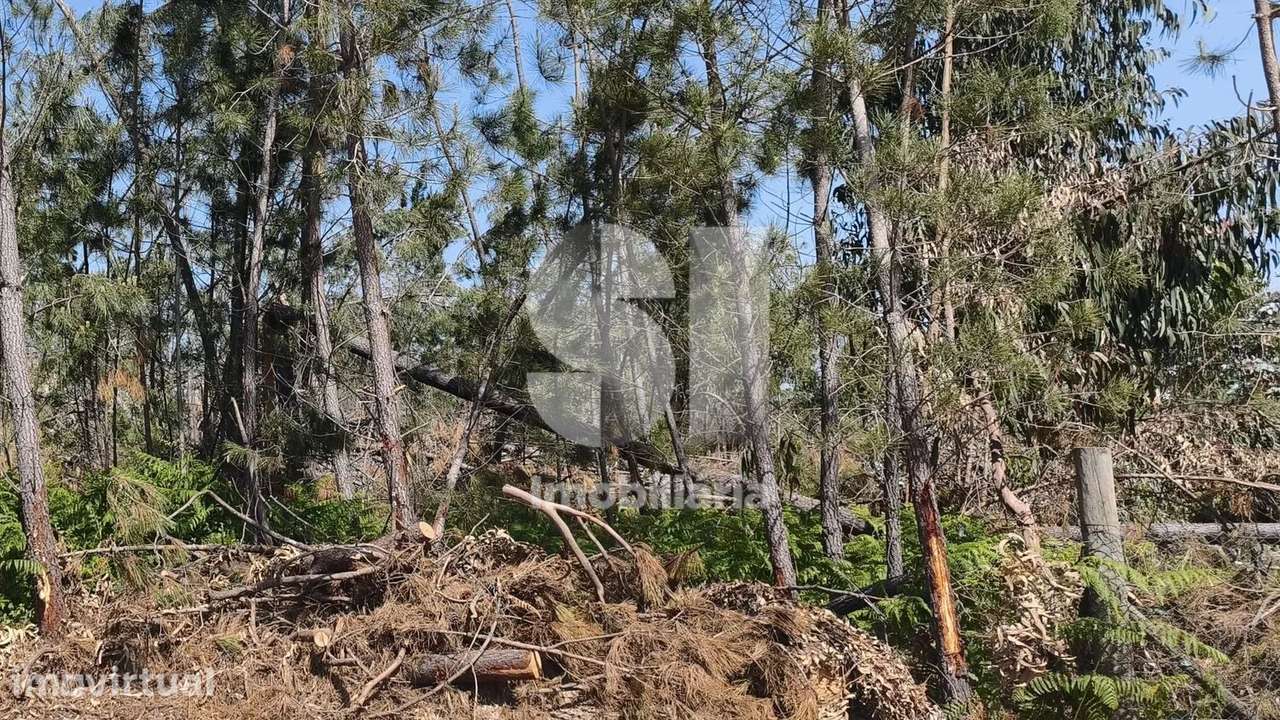 Terreno com acesso direto à EN356 - Grande imagem: 3/10