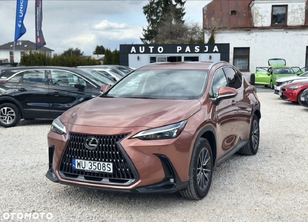Lexus NX - 1