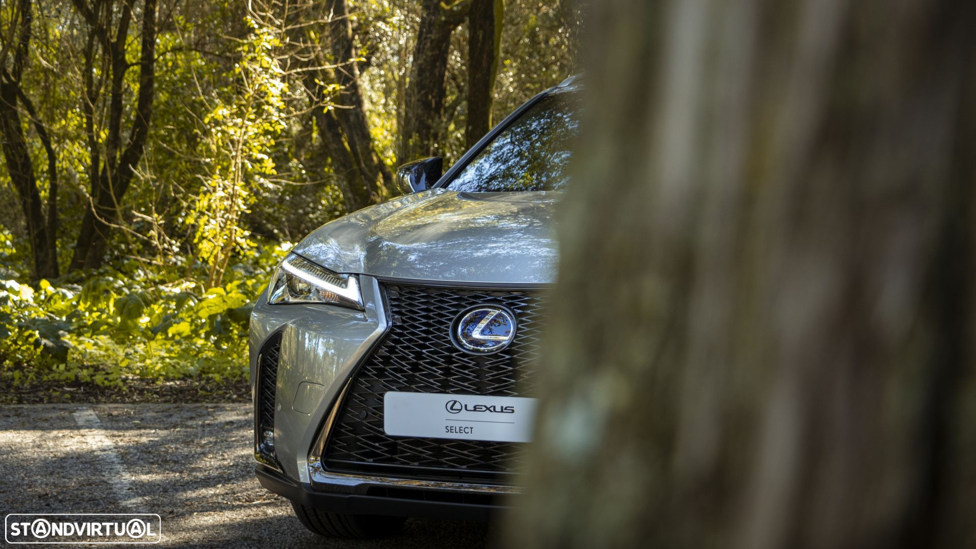Lexus UX 250h F Sport - 21