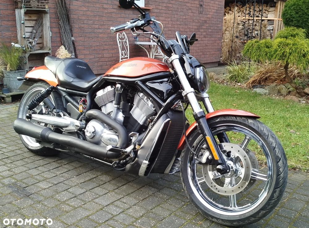 Harley-Davidson Softail V-Rod - 9