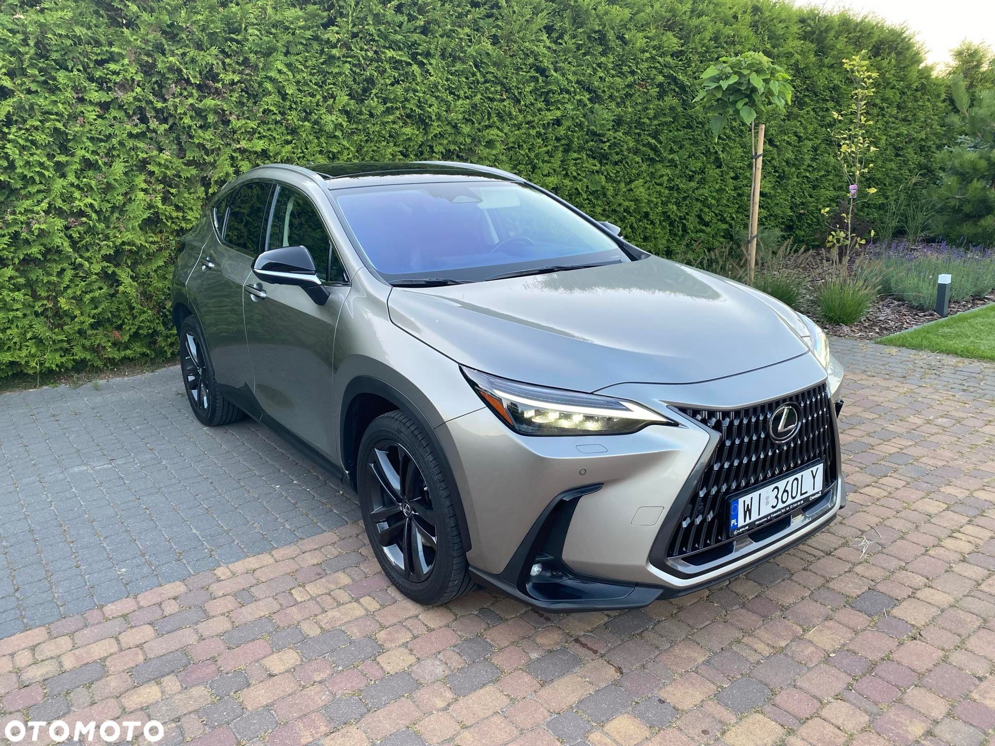 Lexus NX - 1