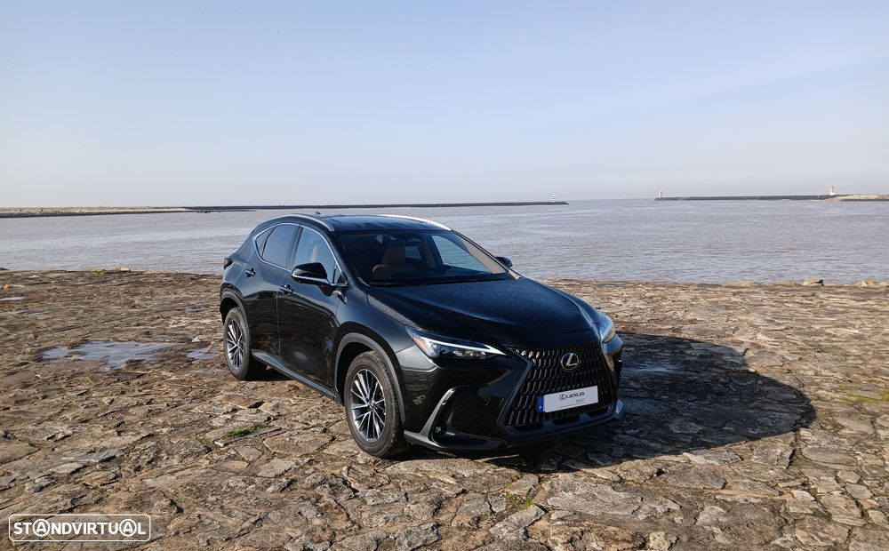 Lexus NX 450h+ - 8