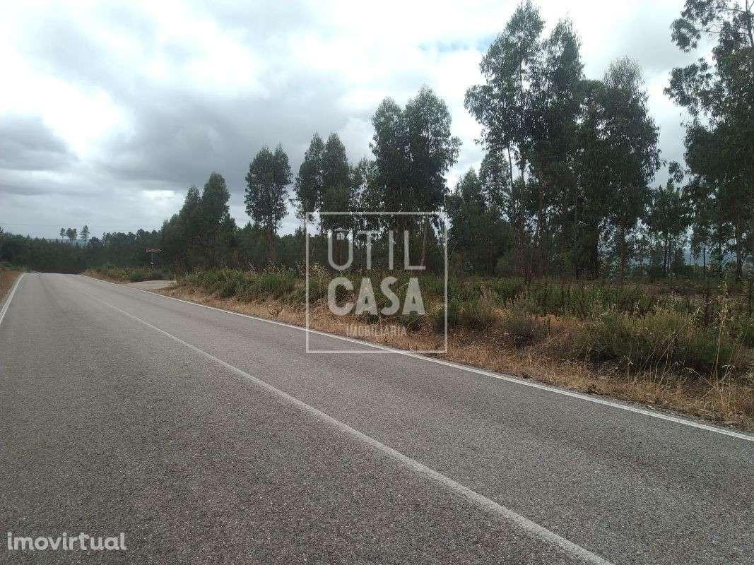 Terreno em Ortiga (Mação) - Grande imagem: 4/5
