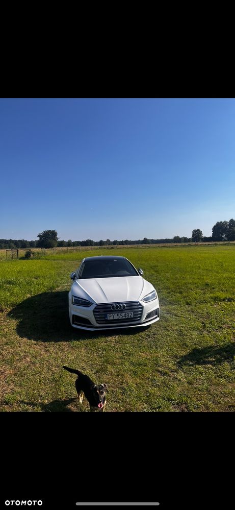 Audi S5 Sportback 3.0 TFSI Quattro Tiptronic - 6