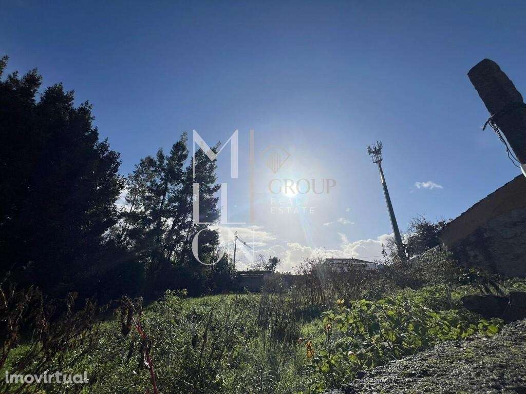 Lote com projeto aprovado - Grande imagem: 5/13