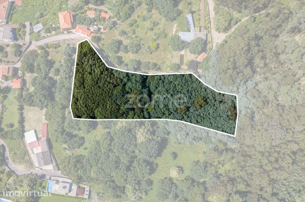 Terreno em Caminha com Vista para a Foz do Rio Minho