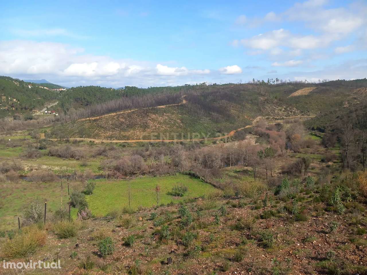 Terreno Rustico com 6220m2 Sobrainho da Ribeira-Sarzedas - Grande imagem: 3/17