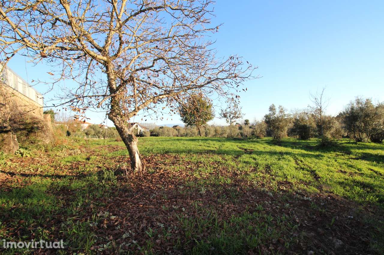 Terreno  Venda em Canas de Santa Maria,Tondela - Grande imagem: 3/14