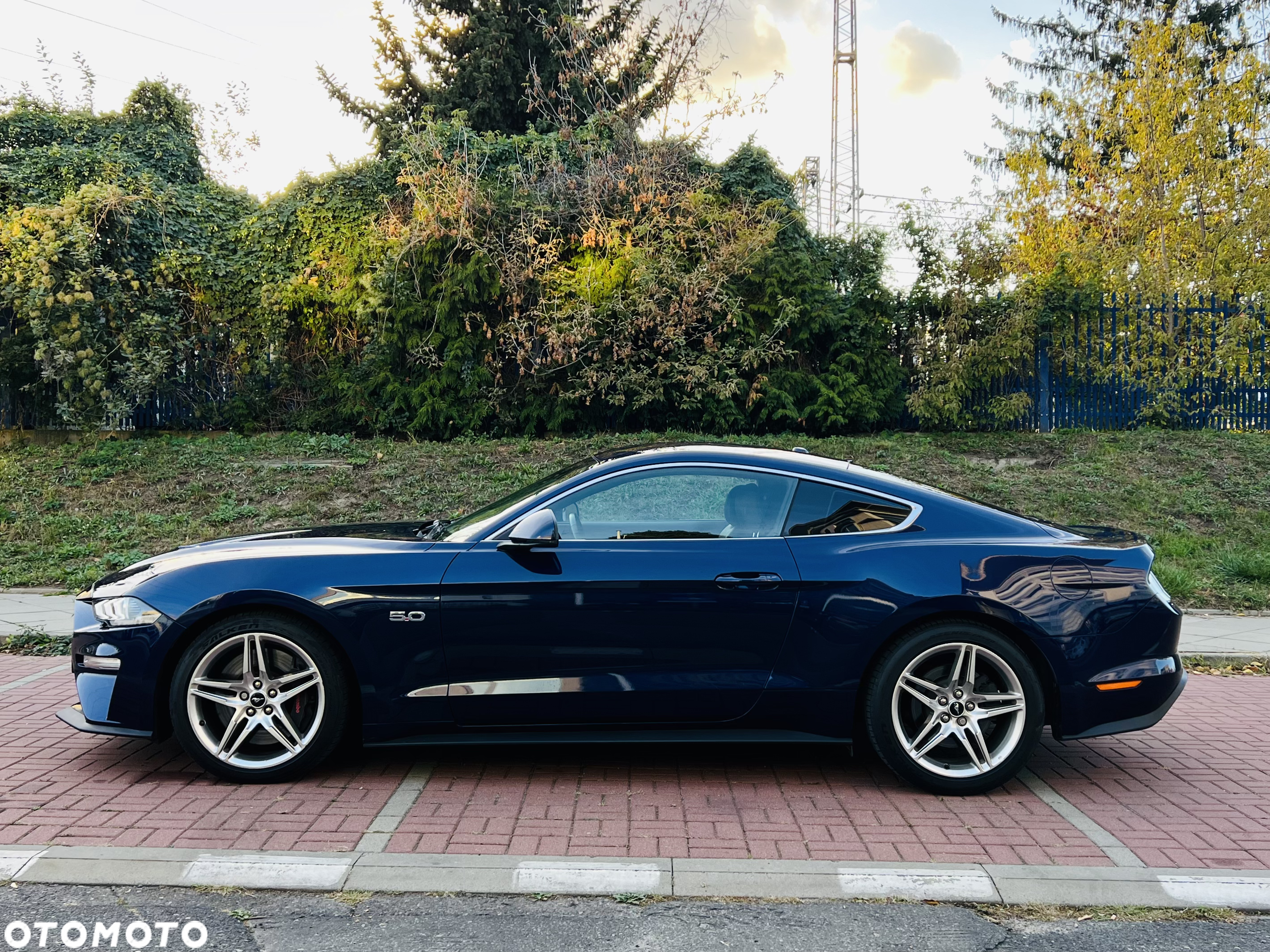 Ford Mustang 5.0 V8 GT - 7