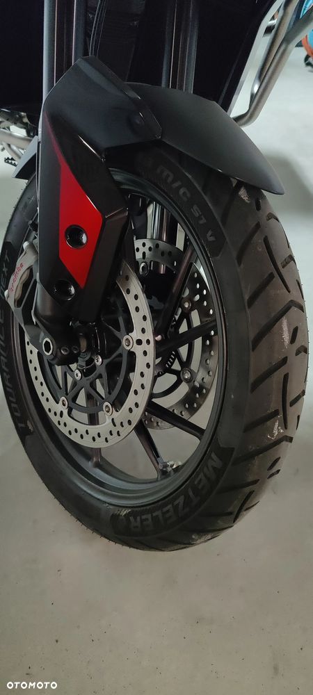 Triumph Tiger - 9