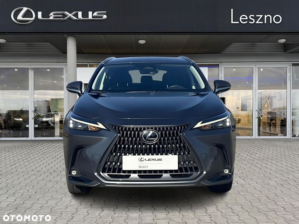 Lexus NX 350h Prestige AWD - 7
