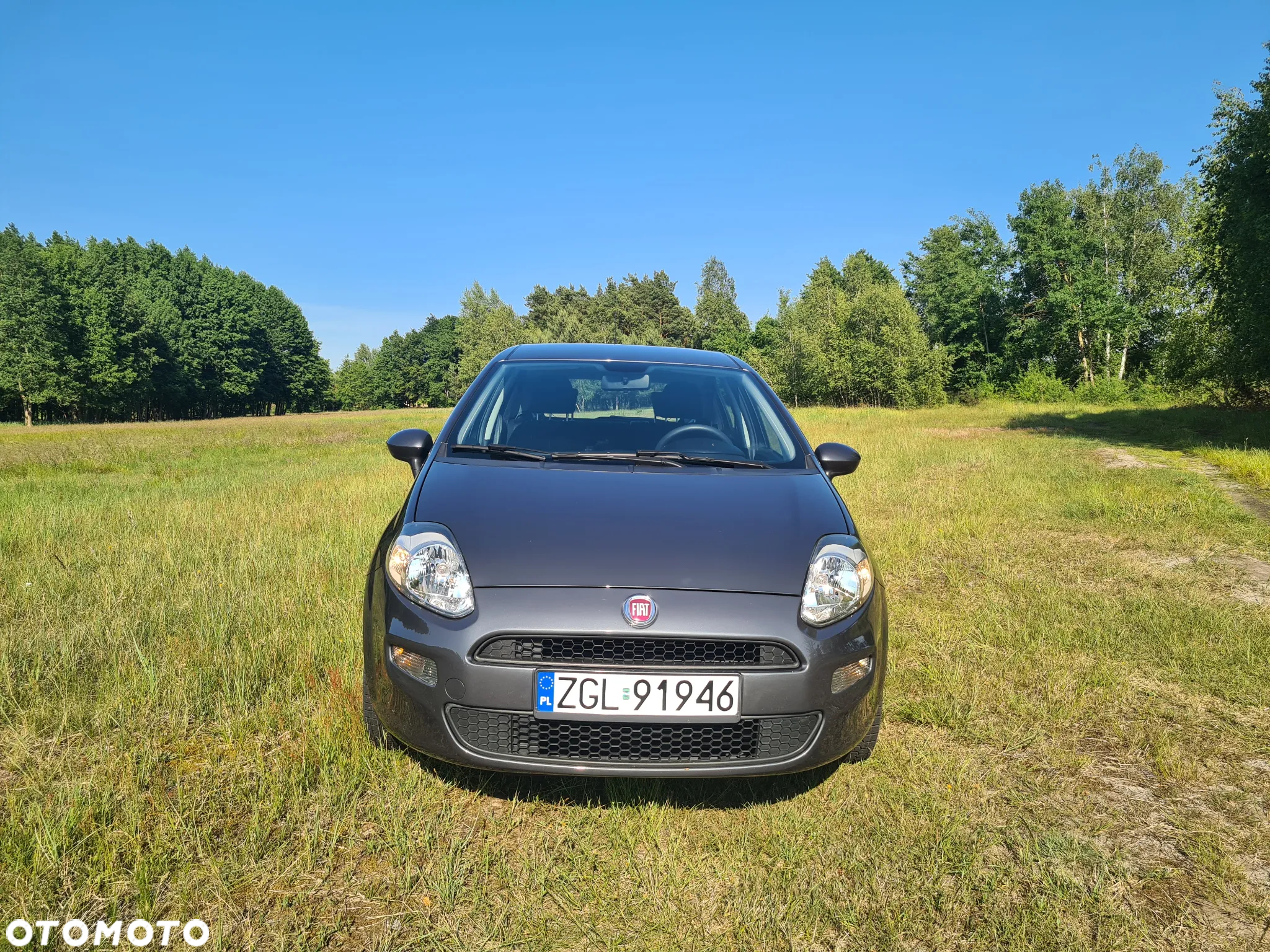 Fiat Punto - 13