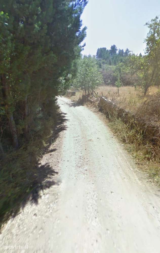Terreno com 21 000 m2 Tábua Coimbra - Grande imagem: 4/8