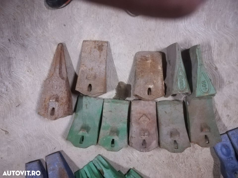 Dinti de cupa - 8