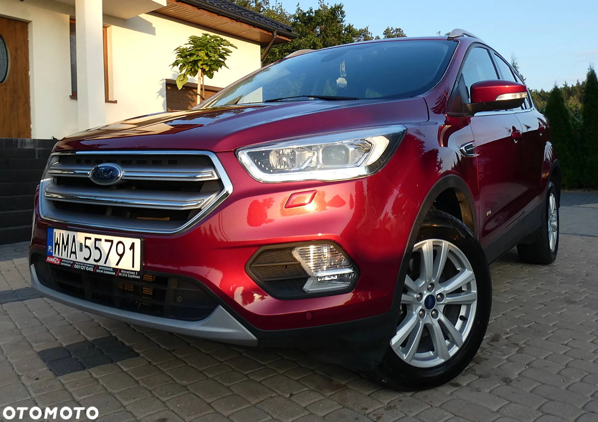 Ford Kuga 1.5 EcoBoost AWD Titanium ASS - 33
