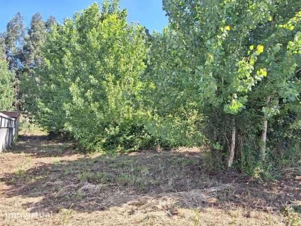 Terreno de 10.000 em Grijó - Grande imagem: 2/2