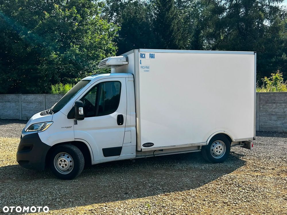 Fiat Ducato *Thermo King* *Serwisowany* - 2