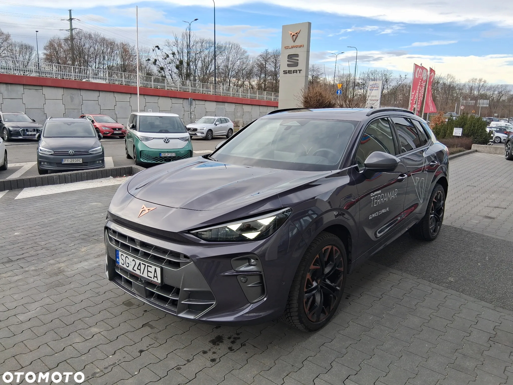 Cupra Terramar - 2