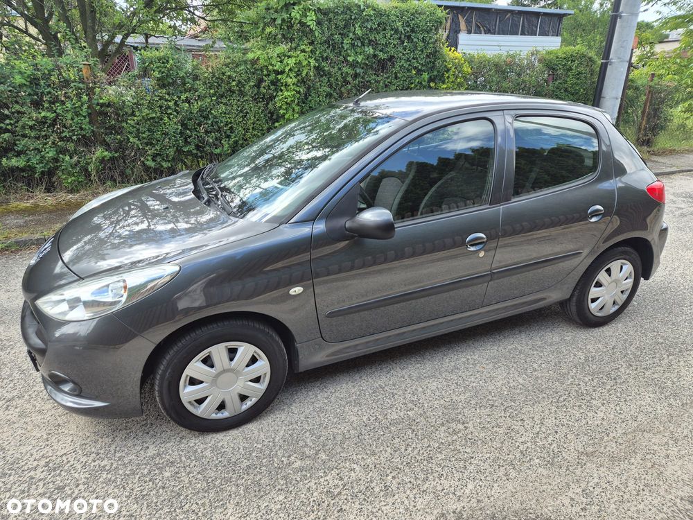 Peugeot 206 plus - 3