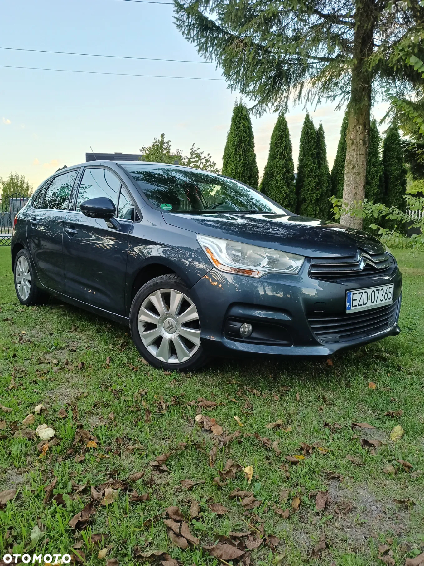 Citroën C4 - 5