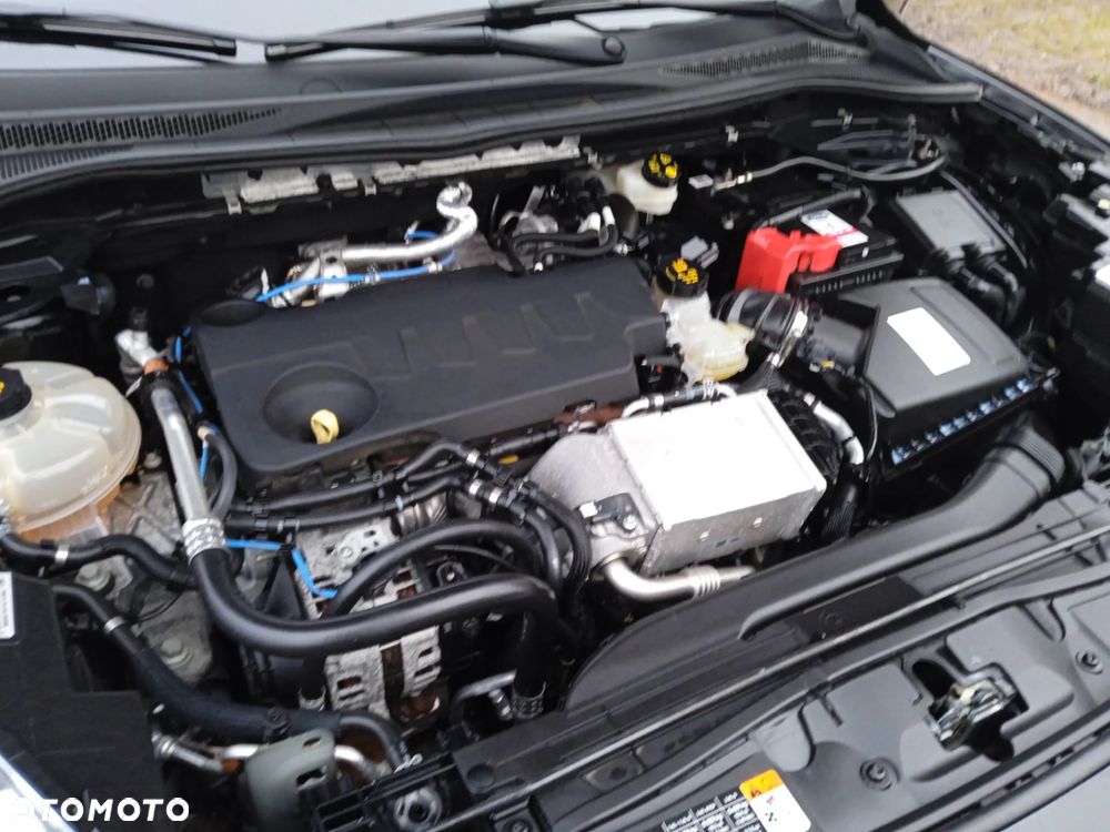 Ford Kuga 2.0 EcoBlue 4x4 TITANIUM X - 15