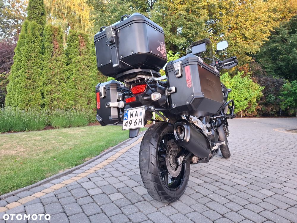 Suzuki DL - 10