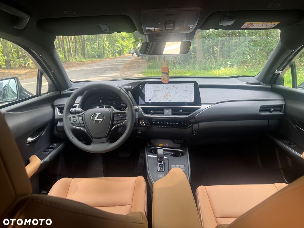 Lexus UX 300h F Sport AWD - 9