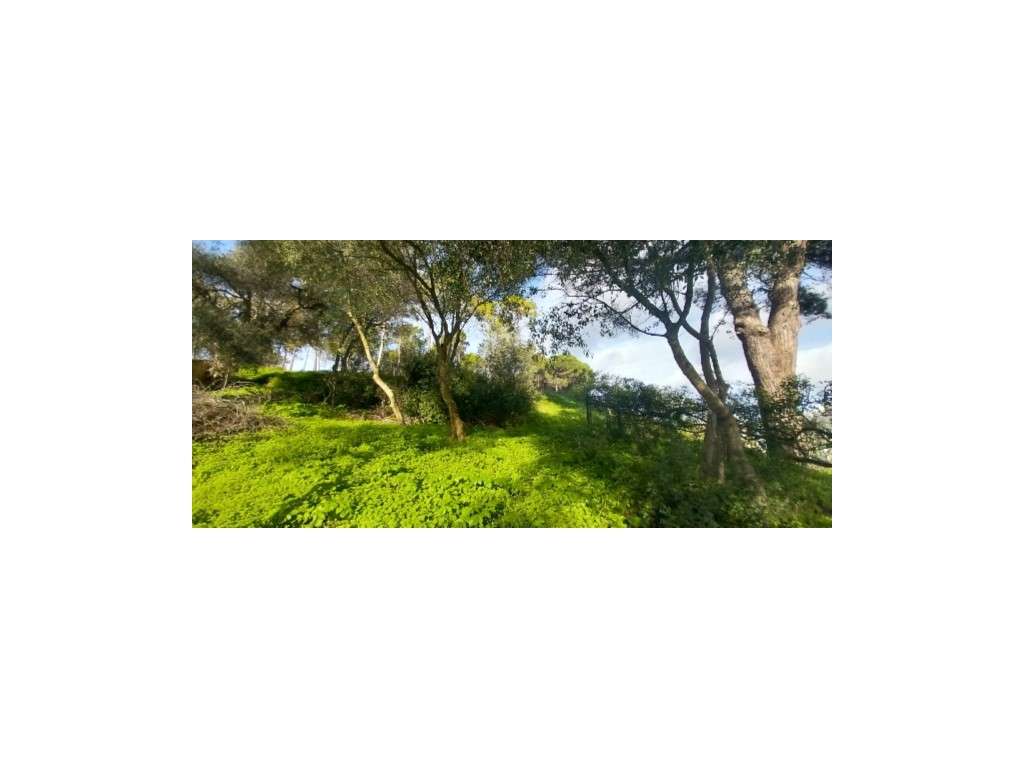 LOTE c/ Projeto aprovado - V5 - Grande imagem: 4/10