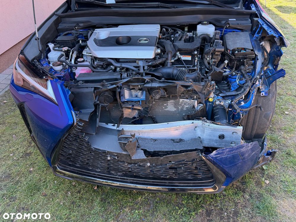 Lexus UX 250h F Sport 2WD - 13