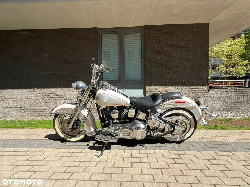 Harley-Davidson Softail - 5